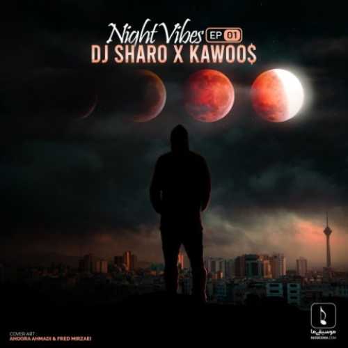 دانلود آهنگ دی جی شارو و کاووس Night Vibes EP01