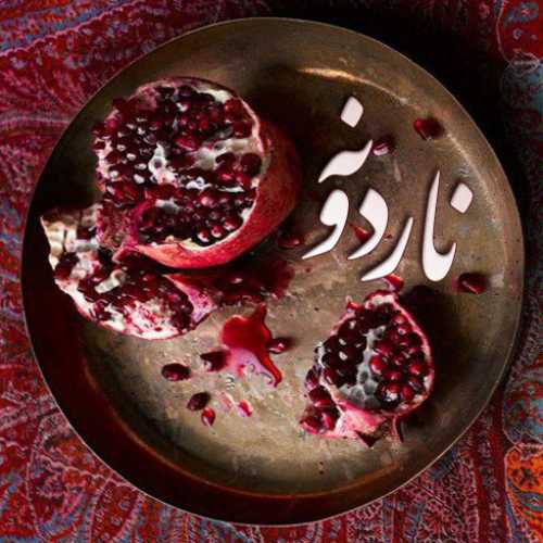 دانلود آهنگ علی زند وکیلی ناردونه دانلود آهنگ علی زند وکیلی ناردونه