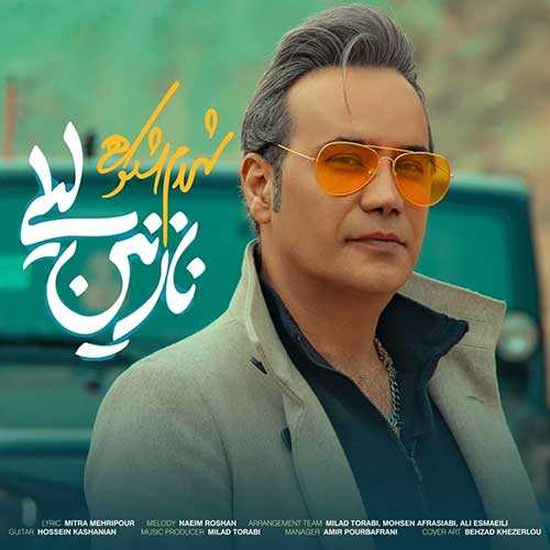 اهنگ بی قرارم از دوری تو لیلی
