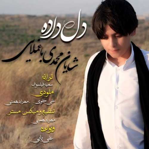دانلود آهنگ شایان محمدی باغملایی دلداده دانلود آهنگ شایان محمدی باغملایی دلداده