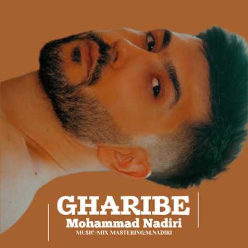 دانلود آهنگ محمد ندیری غریبه
