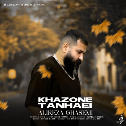 دانلود آهنگ علیرضا قاسمی خزون تنهایی