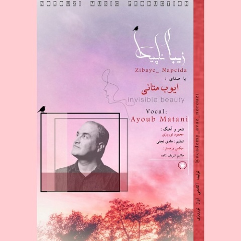 دانلود آهنگ ایوب متانی زیبای ناپیدا