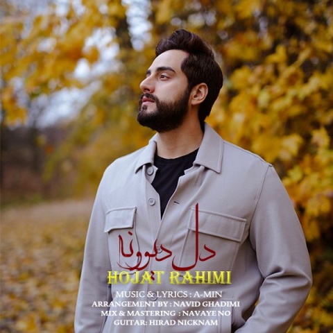 دانلود آهنگ حجت رحیمی دل دیوونه