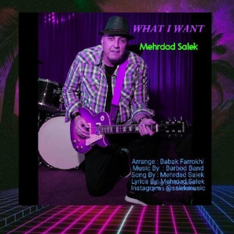 دانلود آهنگ مهرداد سالک What I Want دانلود آهنگ مهرداد سالک What I Want