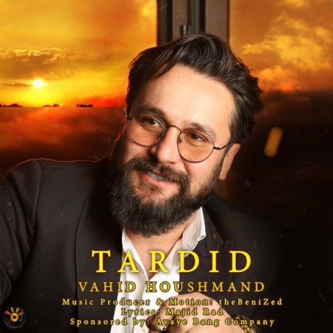 دانلود آهنگ وحید هوشمند تردید