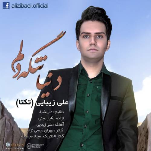 دانلود آهنگ علی زیبایی دنیا تنگ دلم با کیفیت عالی
