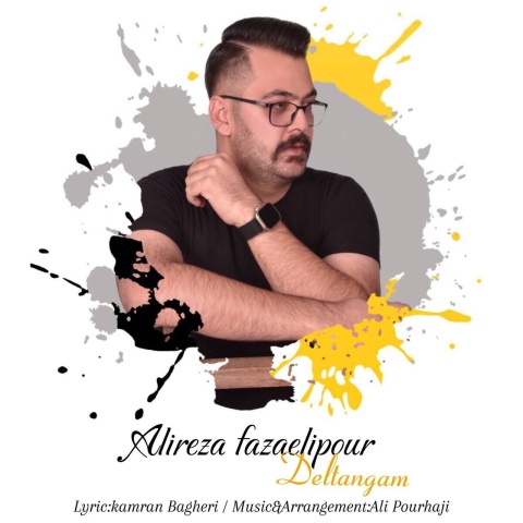 دانلود آهنگ علیرضا فضائلی پور دلتنگم با کیفیت عالی