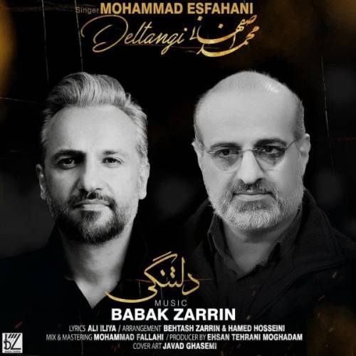 دانلود آهنگ محمد اصفهانی دلتنگی با کیفیت عالی