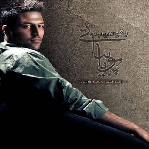 دانلود آهنگ پویا بیاتی تنهایی نرو با کیفیت عالی