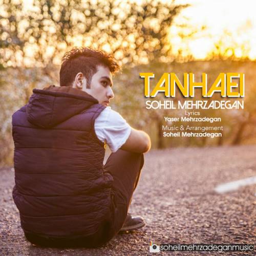 دانلود آهنگ سهیل مهرزادگان تنهایی با کیفیت عالی