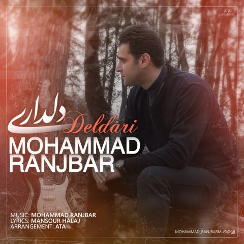 محمد رنجبر دلداری