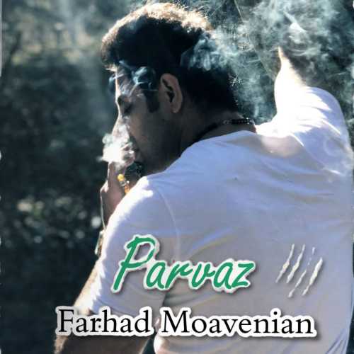 فرهاد معاونیان پرواز