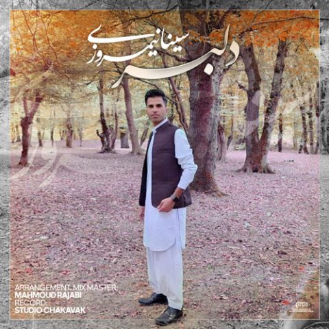 سینا نیمروزی دلبر