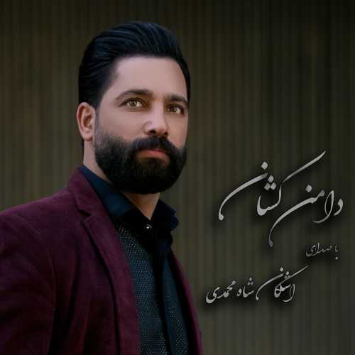 اشکان شاه محمدی دامن کشان