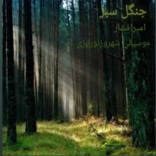 امیر افشار جنگل سبز