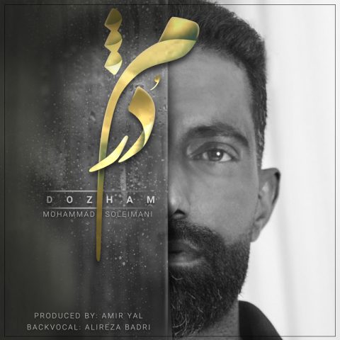 محمد سلیمانی دژم