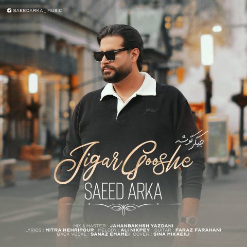 سعید آرکا جیگر گوشه سعید آرکا جیگر گوشه