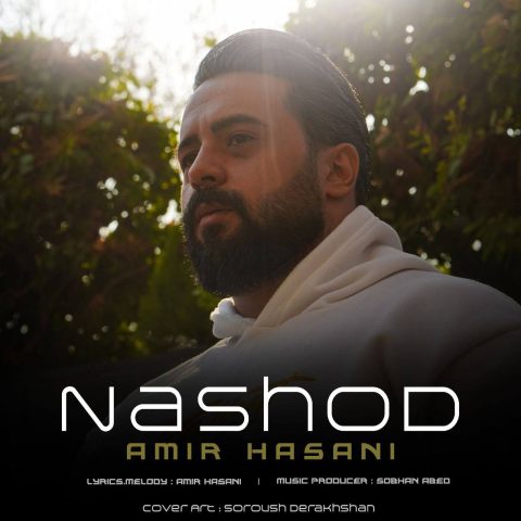 امیر حسنی نشد