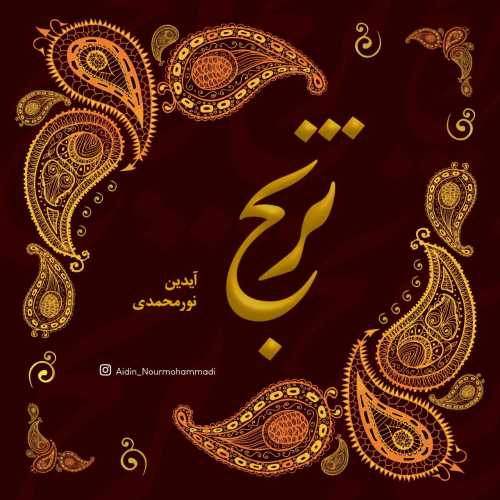 آیدین نورمحمدی ترنج آیدین نورمحمدی ترنج