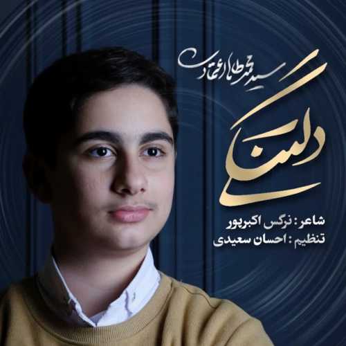 محمدطاها اعتمادی دلتنگی