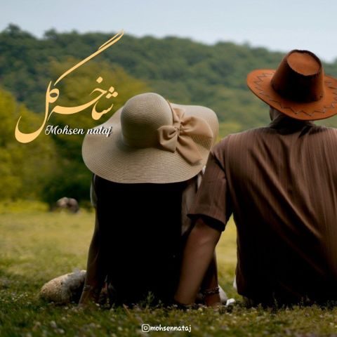 محسن نتاج شاخه گل محسن نتاج شاخه گل