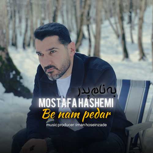 مصطفی هاشمی 