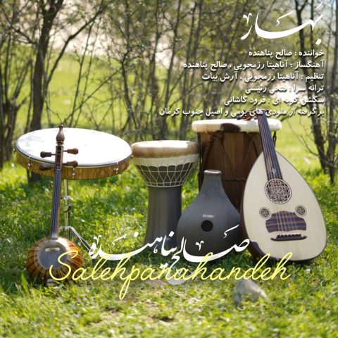 صالح پناهنده بهار صالح پناهنده بهار