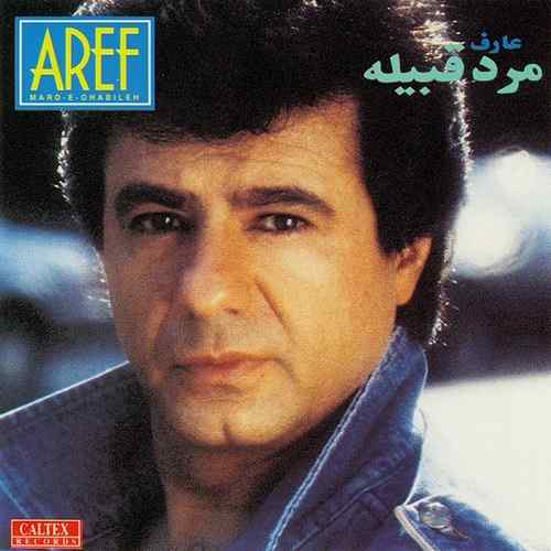 دانلود آهنگ عارف مرد غریبه