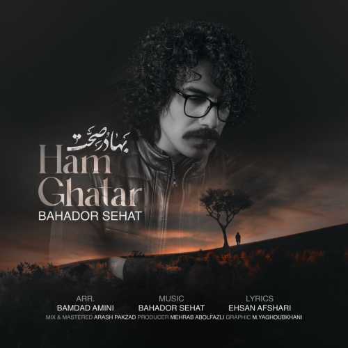 بهادر صحت هم قطار