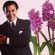 آهنگ ای پرستوهای خسته سرزمین پاکی ام کو