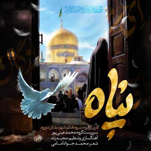 محمد عینی پور پناه