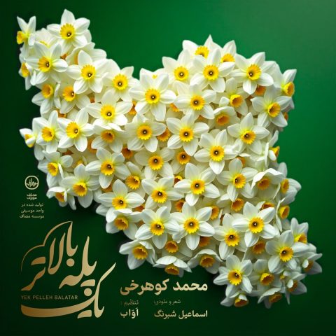 محمد کوهرخی یک پله بالاتر محمد کوهرخی یک پله بالاتر