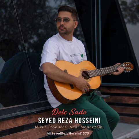 سید رضا حسینی دل ساده