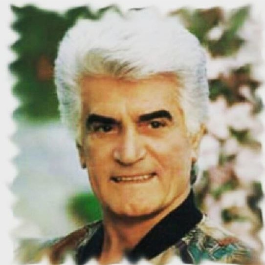 دانلود آهنگ ویگن مرد سرگردان